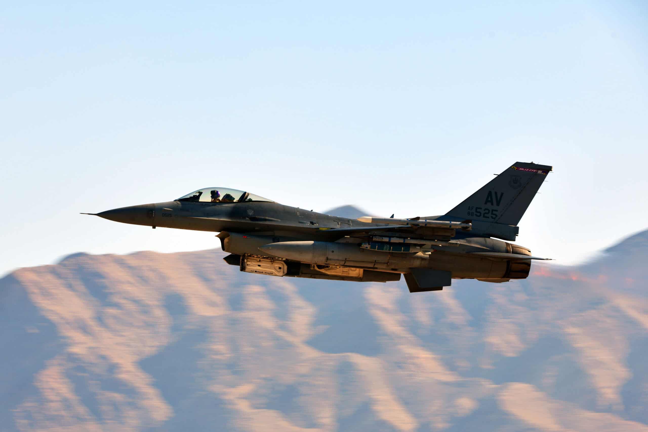 Falcon in flight