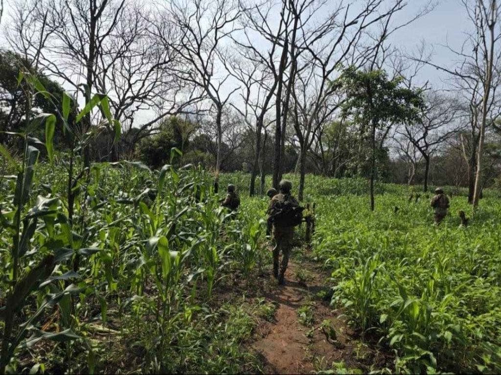 burundi-se-povlači-uganda-ulazi-u-borbu-dok-se-m-23-koju-podržava-ruanda-bori-u-dr-kongo