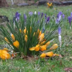 Ривалитет САД и Кине: Европа неће избећи последице рата око Тајвана