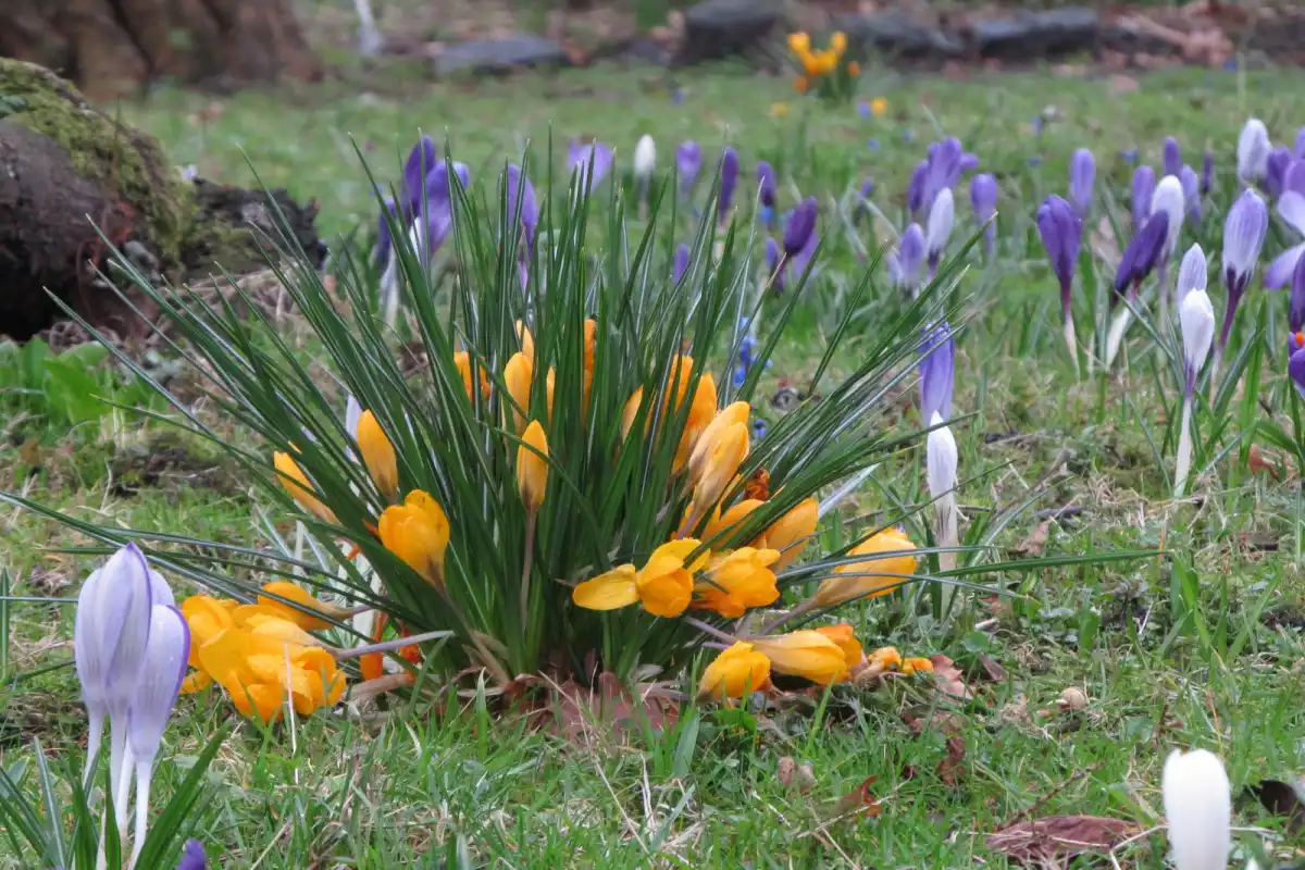 Ривалитет САД и Кине: Европа неће избећи последице рата око Тајвана