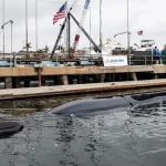 Америчка морнарица први пут извела дуг пацифички задатак са подводним дроном Orca XLUUV
